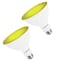 Luxrite PAR38 LED Yellow Light Bulb 8W 45W Equivalent Damp Rated UL Listed E26 Medium Base, 2PK LR31641-2PK - alternate 1